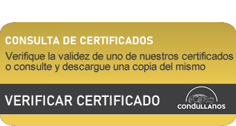 actualizacion-consulta actualizacion-consulta